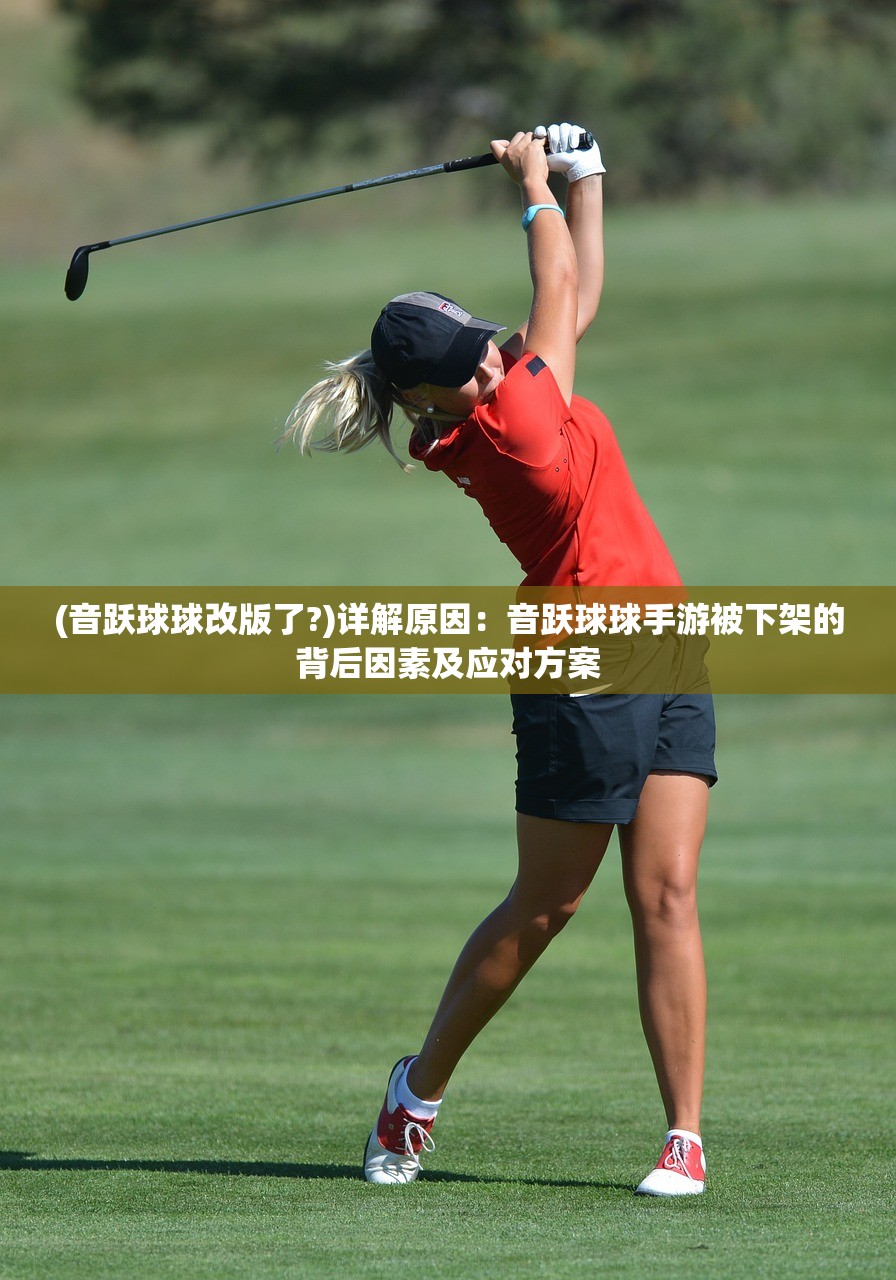(《一统江山》)一统江山，免费播放与多元视角下的深度解读