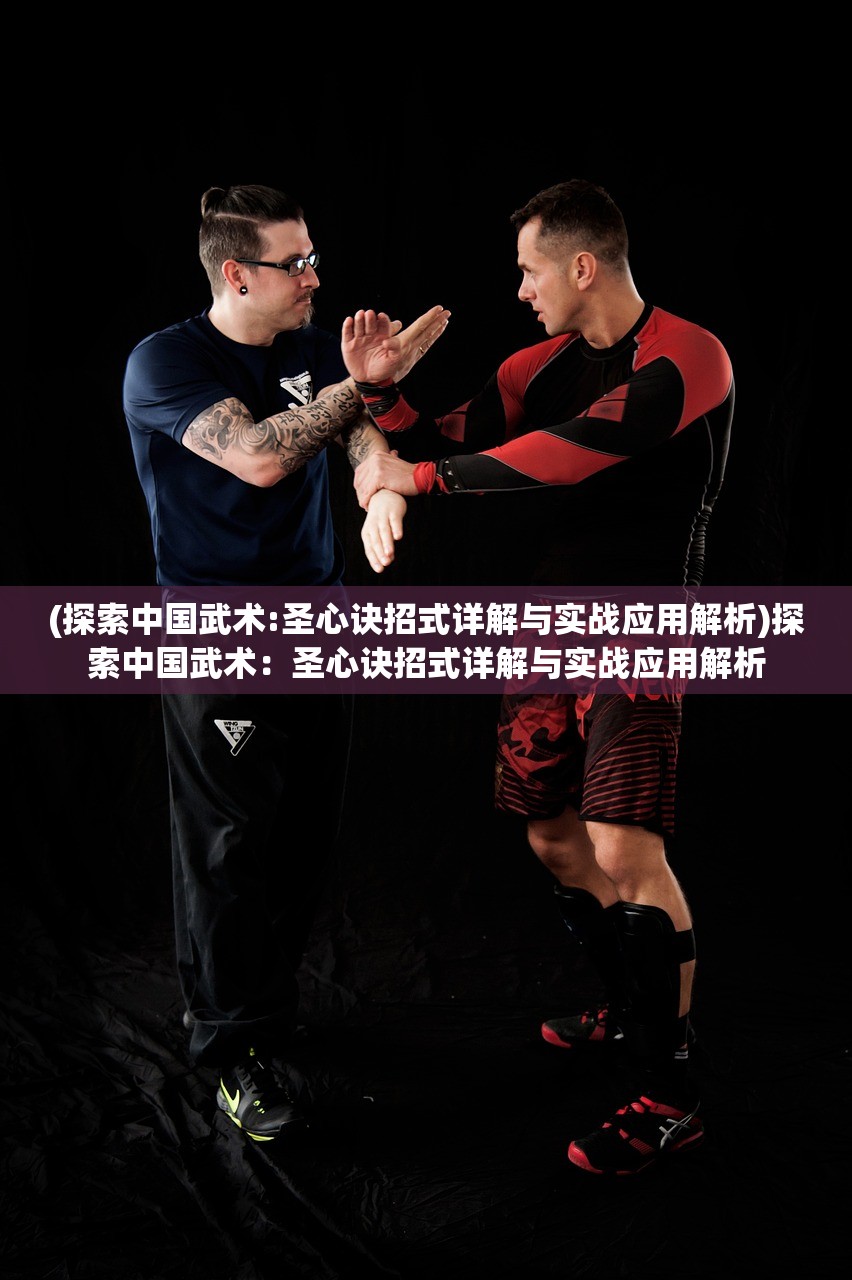 (斩龙三国阵容搭配攻略)斩龙三国阵容,策略搭配与战术解析 (斩龙三国阵容搭配攻略)斩龙三国阵容,策略搭配与战术解析