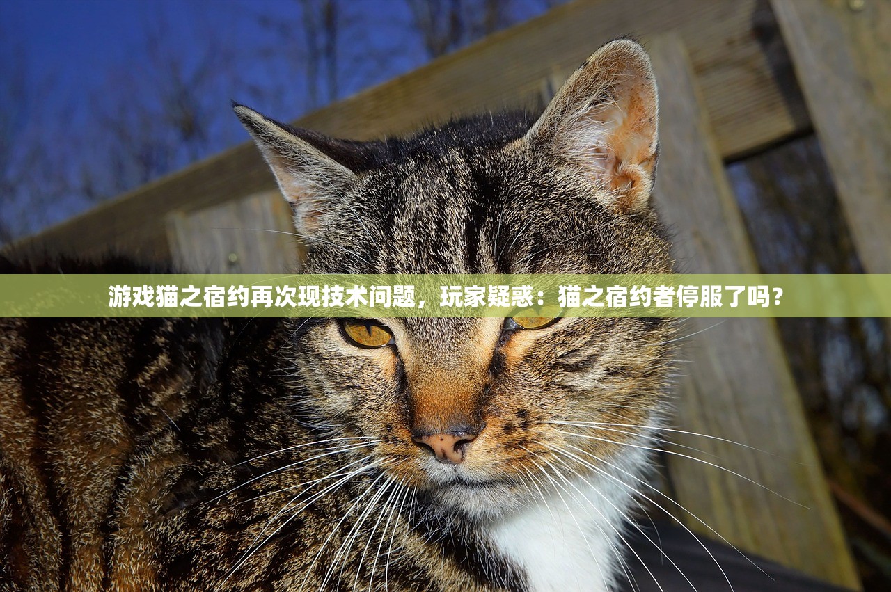 (万道武神传奇手游攻略最新)万道武神传奇，探寻神秘世界的无尽武道