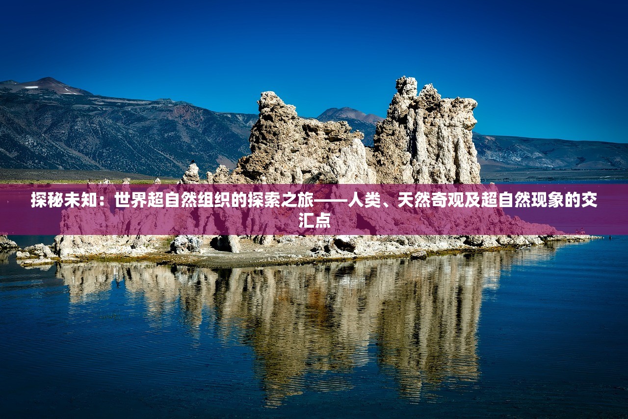 新澳天天开奖资料大全旅游团|深度探索未来生活新趋势_研究款.1.125