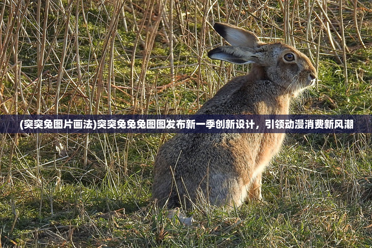 (再见江湖游戏几号开服的)关于再见江湖游戏开服时间的探讨与期待