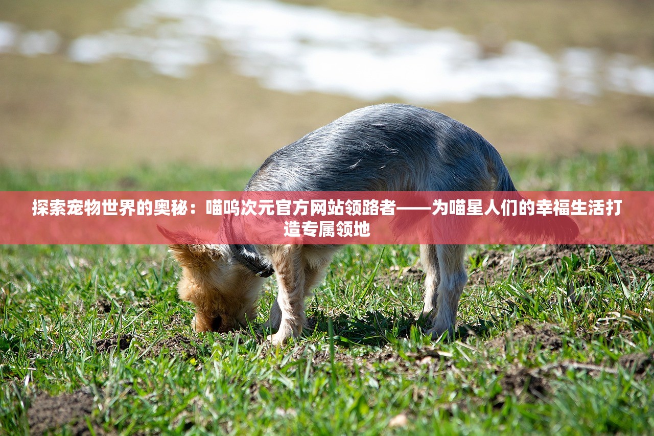 2024年新的毒株叫什么|广泛的解释落实方法分析_冒险版.2.411 2024年新的毒株叫什么|广泛的解释落实方法分析_冒险版.2.411