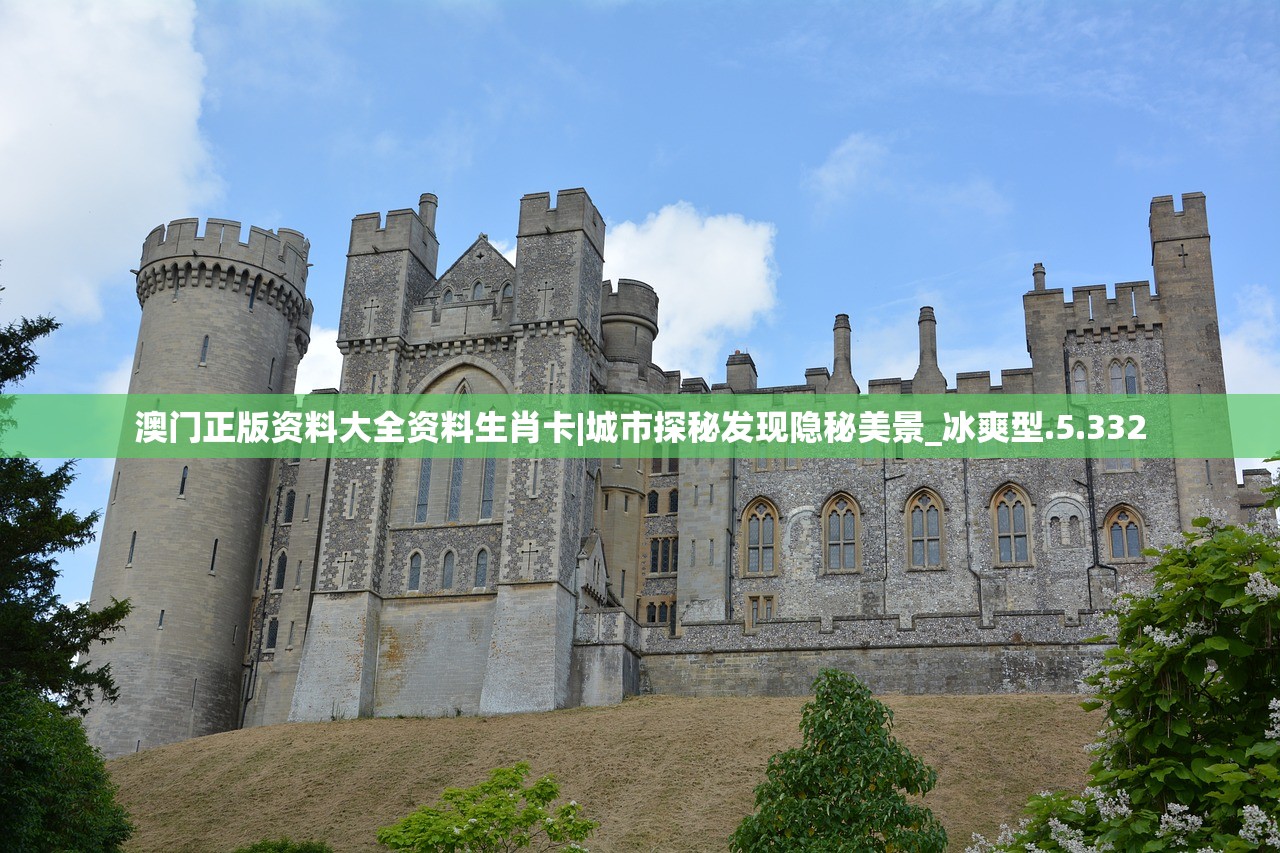 澳门一码一肖一特一中是公开的吗|专业解答解释落实_交流版.0.686