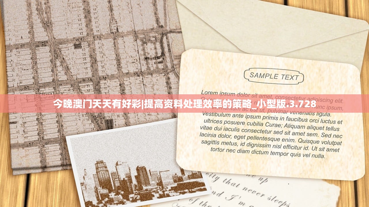 今晚澳门天天有好彩|提高资料处理效率的策略_小型版.3.728