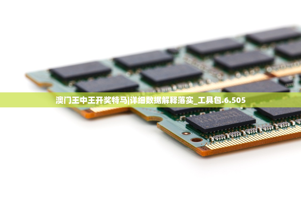 澳门王中王开奖特马|详细数据解释落实_工具包.6.505