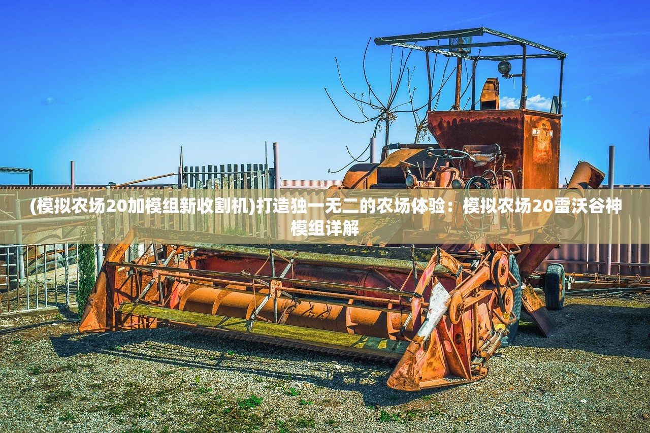 (航海王梦想指针终极奥义大师之路攻略)航海王梦想指针终极奥义大师之路，探索与超越