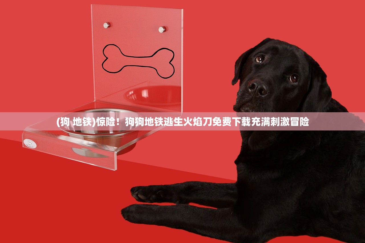 (灭鼠先锋的正确玩法是什么)灭鼠先锋的正确玩法详解及常见问答 (灭鼠先锋的正确玩法是什么)灭鼠先锋的正确玩法详解及常见问答