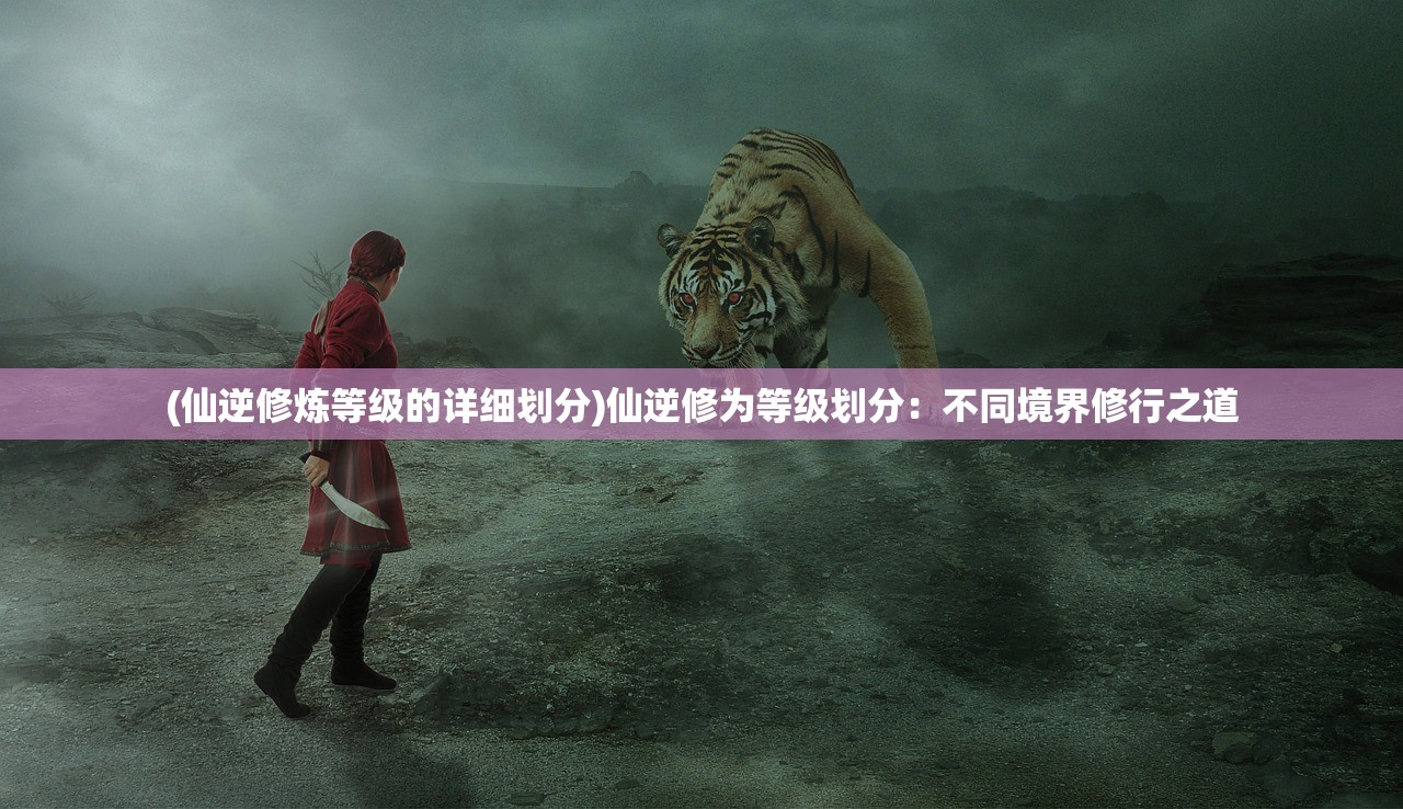 (英雄333)英雄三十分停服原因详解，深度剖析与多维度分析