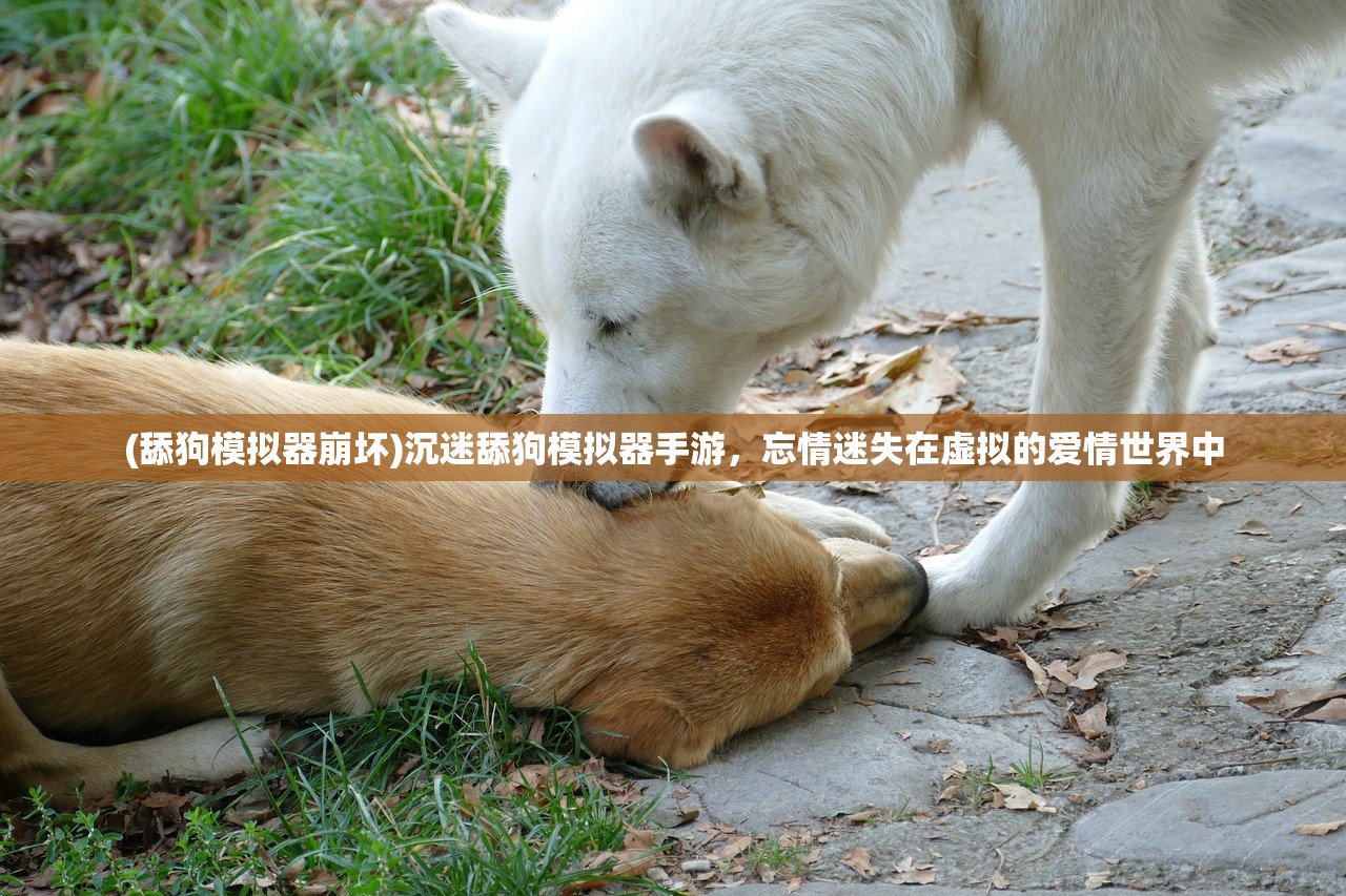(奇迹深渊位面进入条件)奇迹深渊突击，探索未知的冒险之旅标题