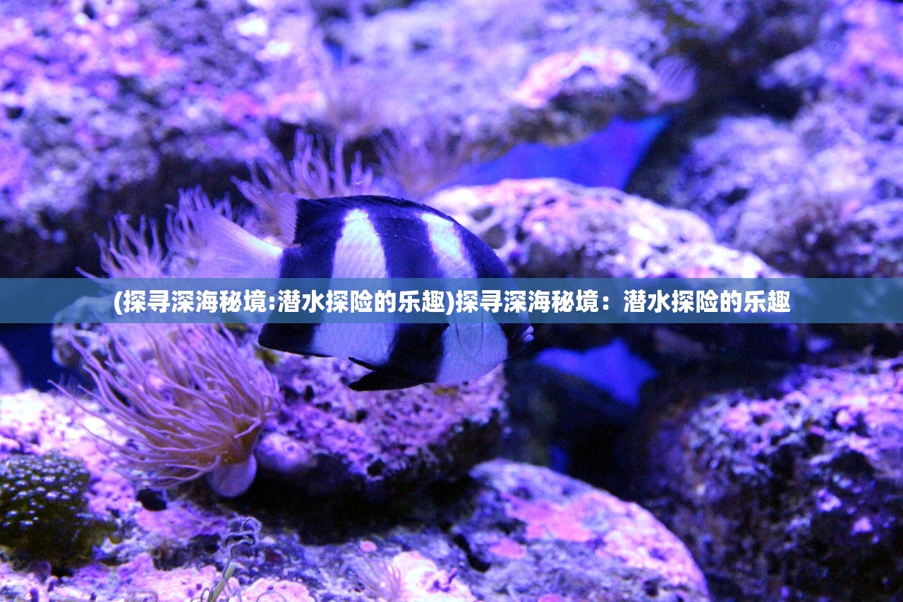(早安我的少年满级无限票)早安我的少年满级数据包，深度解析与应用指南