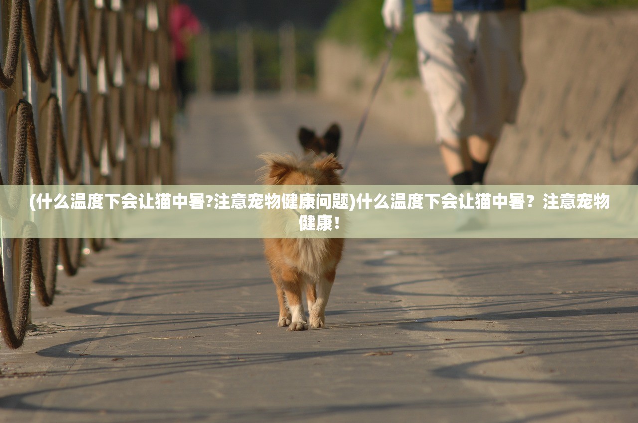 (梦幻模拟战转职表合集)梦幻模拟战二转职表详解及常见问题解答 (梦幻模拟战转职表合集)梦幻模拟战二转职表详解及常见问题解答