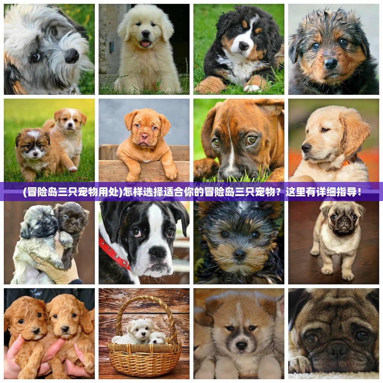 (动天地泣鬼神打一数字)动天地泣鬼神，超越人类想象的壮丽瞬间