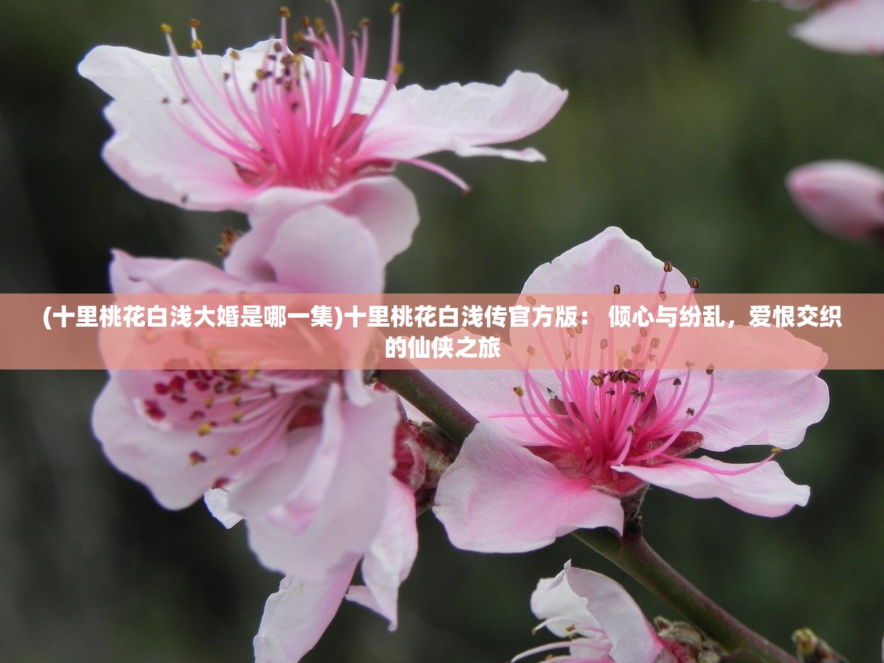 (全民摸鱼最新版下载)全民摸鱼最新版，游戏休闲的新趋势与深度探讨