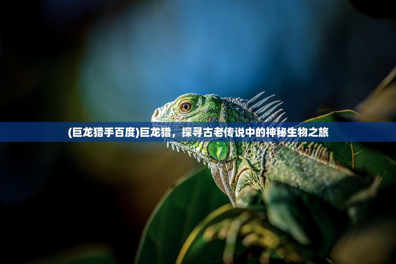 (富豪闯三国角色排行)富豪闯三国,探寻最强角色 (富豪闯三国角色排行)富豪闯三国,探寻最强角色