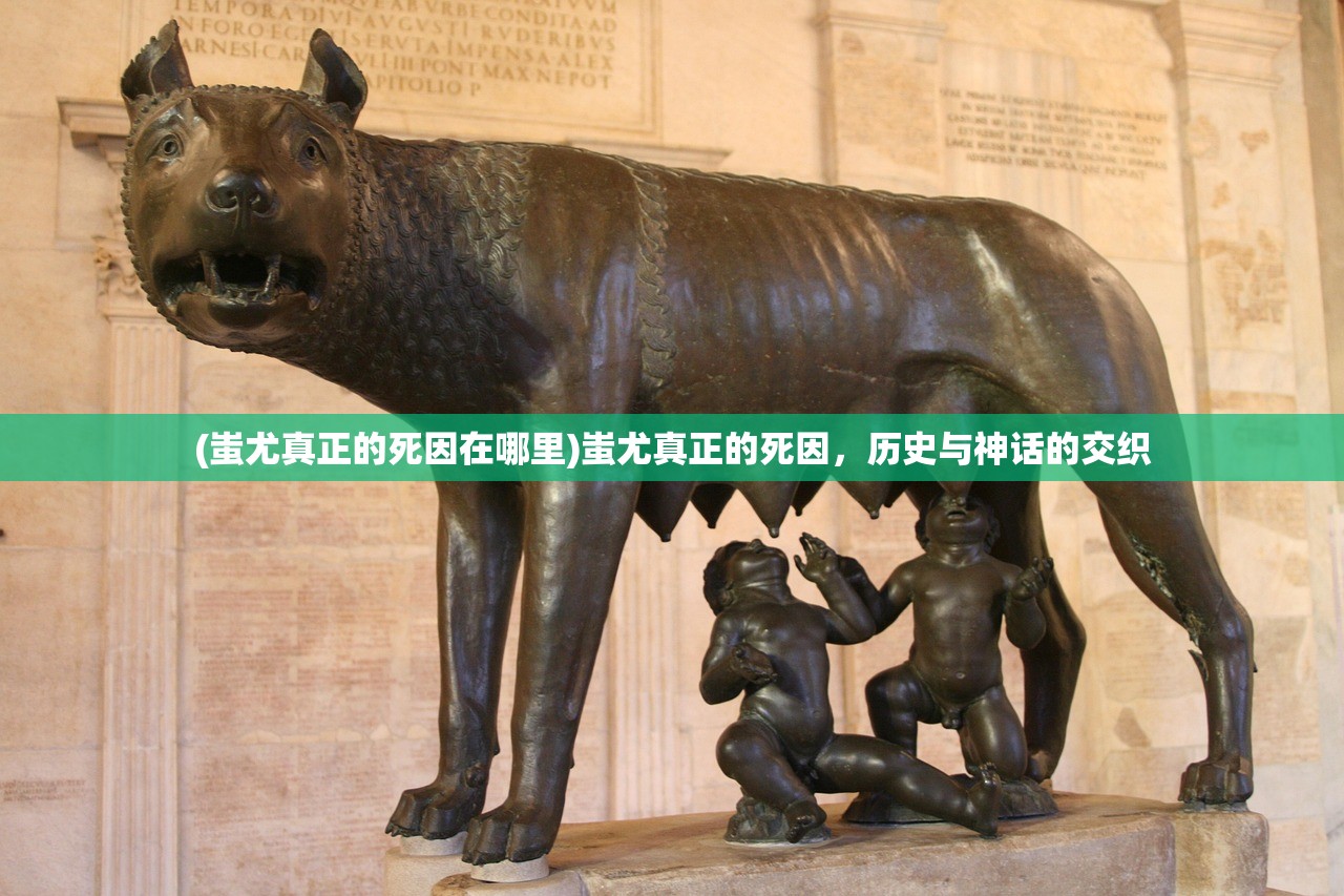(餐厅萌物语官方网站客服)餐厅萌物语官方网站，探索美食与二次元文化的交融之地