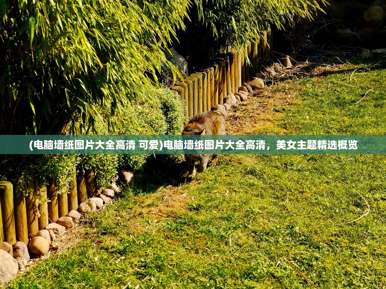 (罐子的游戏叫什么名字啊)罐子的游戏名字大全及介绍