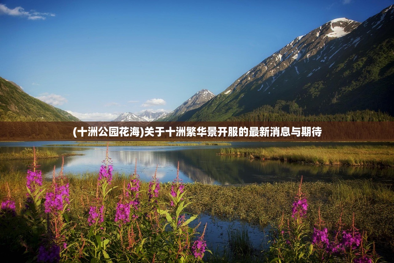 (芝士甜心)甜芝士sweech怎么了?探究其背后的故事与现状 (芝士甜心)甜芝士sweech怎么了?探究其背后的故事与现状