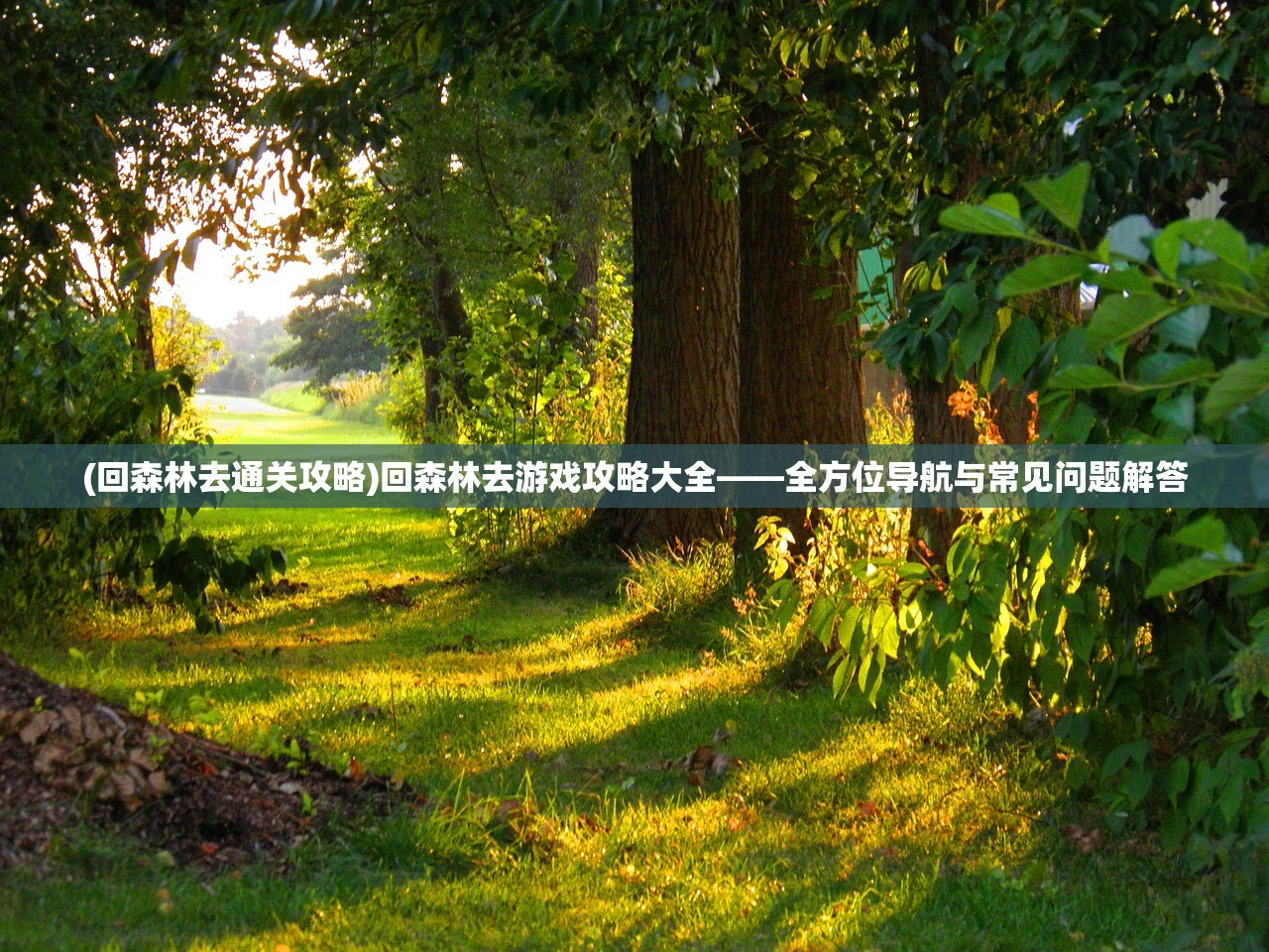 (传奇永恒猎魔任务攻略)猎魔永恒洞府,神秘之地深度解析 (传奇永恒猎魔任务攻略)猎魔永恒洞府,神秘之地深度解析