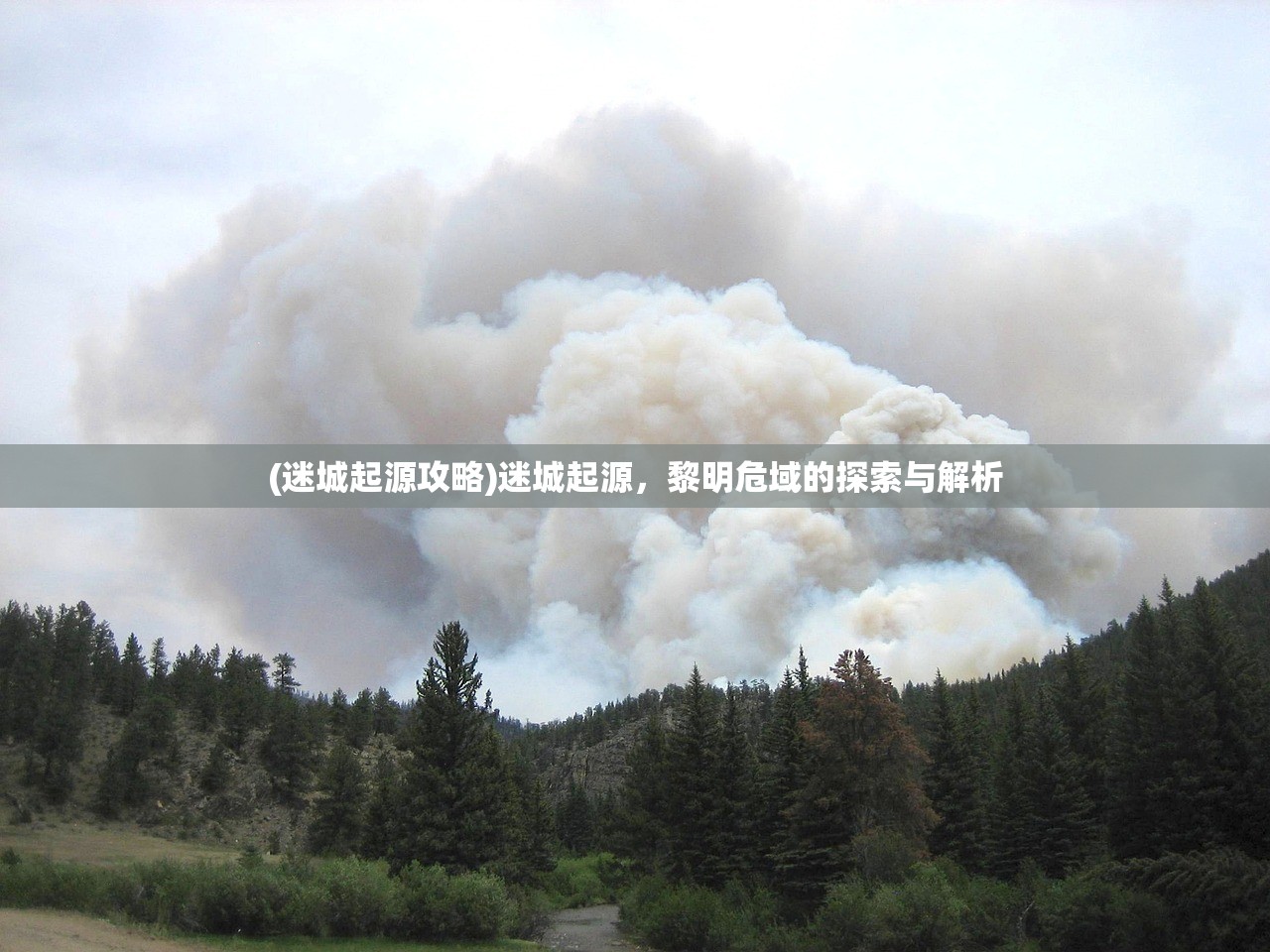 (烈火年代阮妩谢成康笔趣阁)烈火年代，历史变迁与社会风貌的深度解读