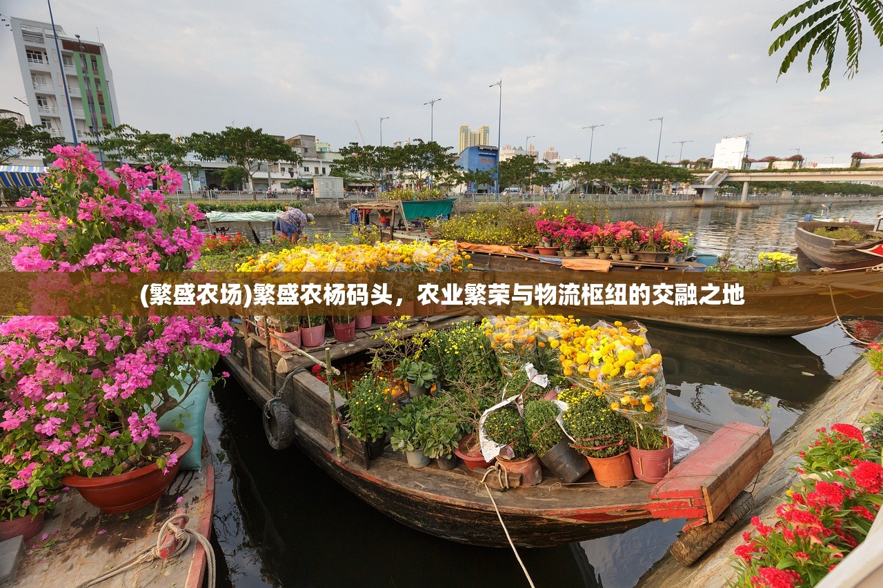 (西游记原著)西游记，古典神话的魅力与深层解读