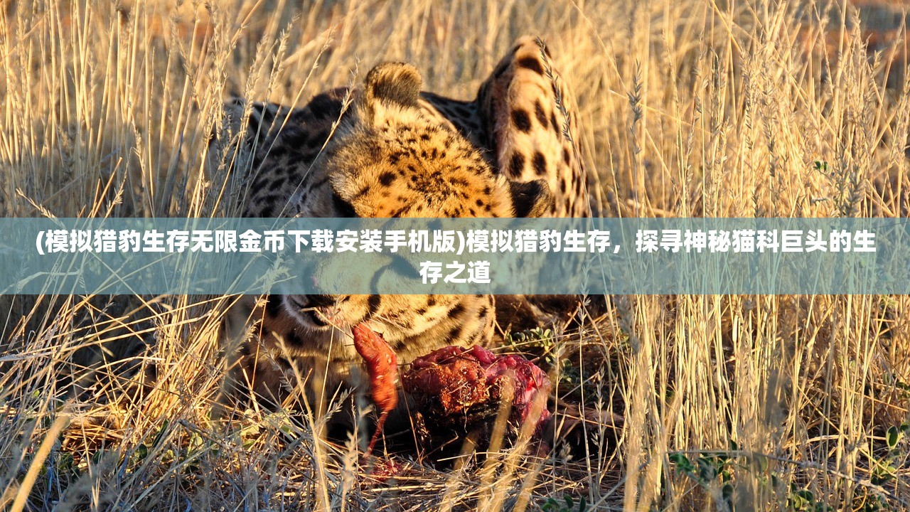 (七境红包版王小贱)七境红包版，游戏新风尚的探秘之旅
