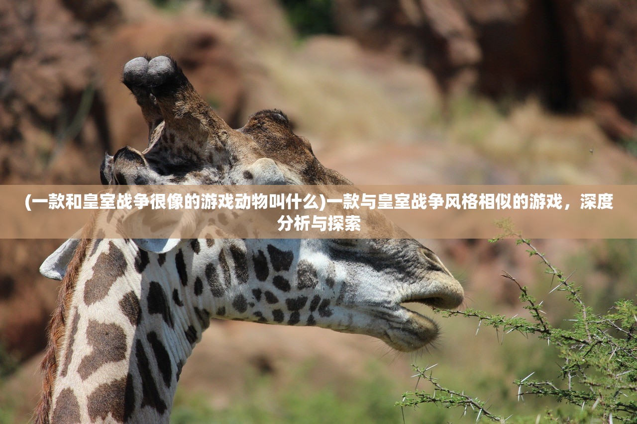 (大侠大侠)大侠怼他最新版，免广告版体验详解