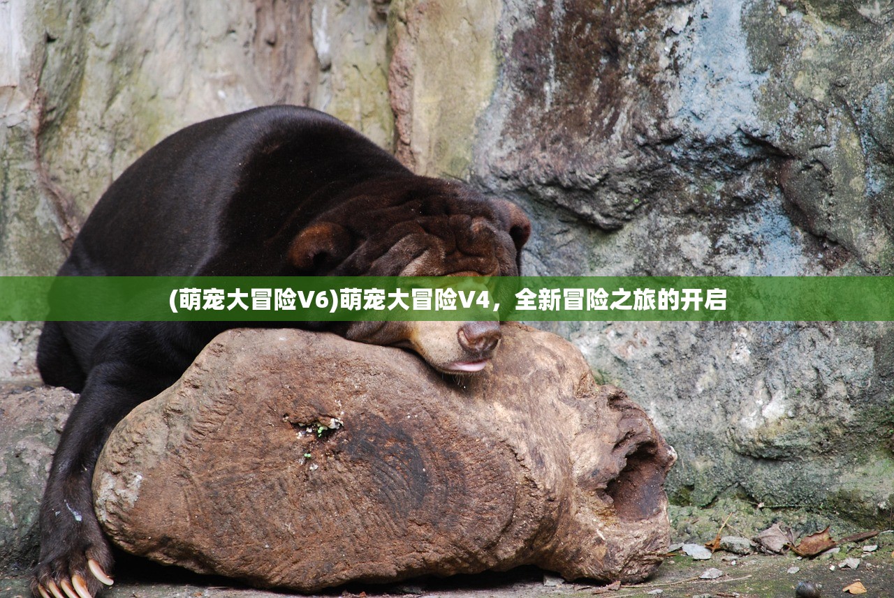 (萌宠大冒险V6)萌宠大冒险V4,全新冒险之旅的开启 (萌宠大冒险V6)萌宠大冒险V4,全新冒险之旅的开启