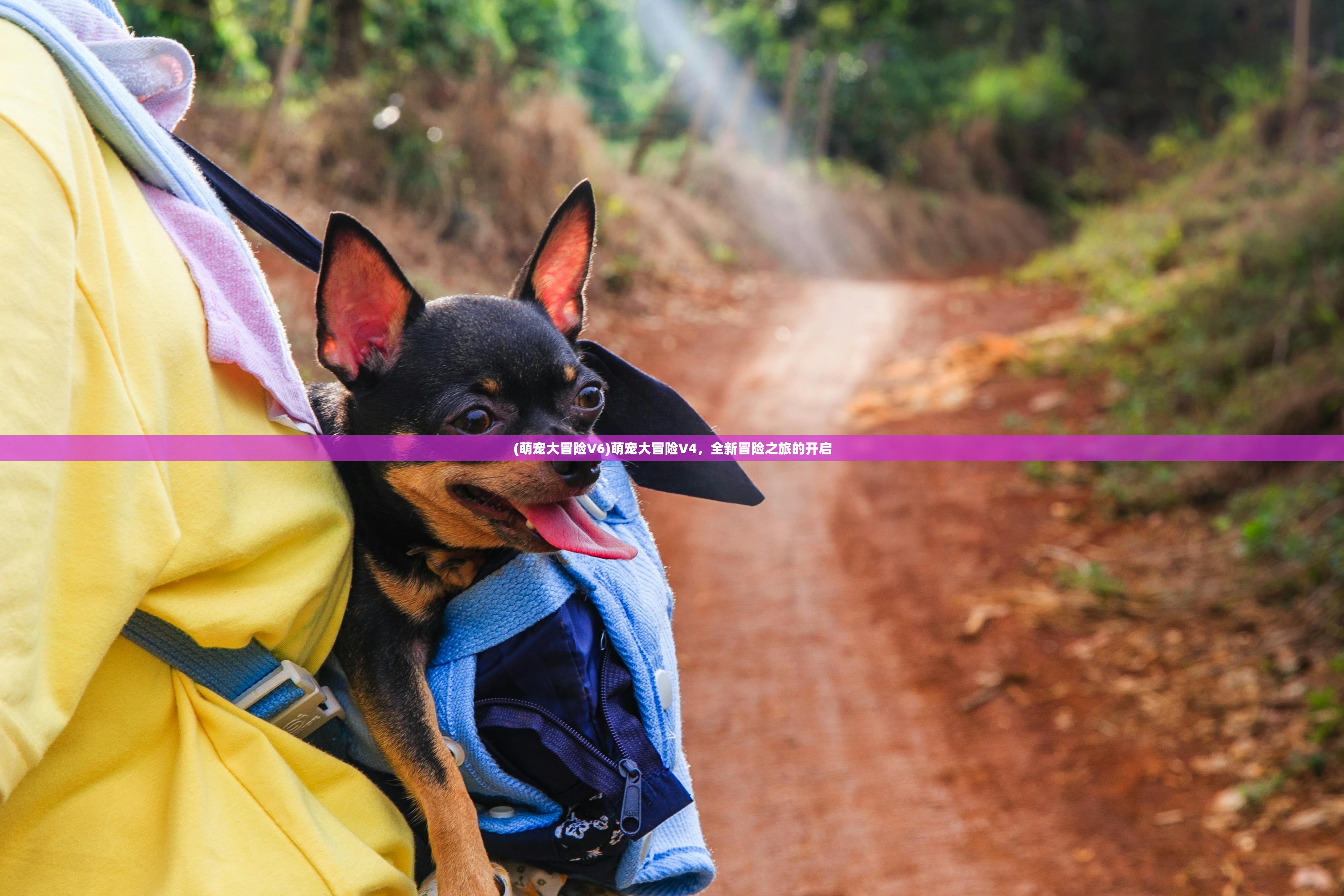 (萌宠大冒险V6)萌宠大冒险V4,全新冒险之旅的开启 (萌宠大冒险V6)萌宠大冒险V4,全新冒险之旅的开启