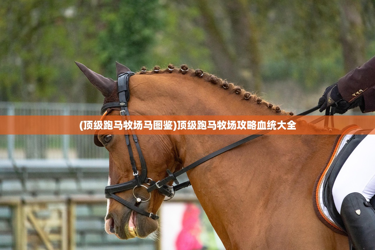 (顶级跑马牧场马图鉴)顶级跑马牧场攻略血统大全