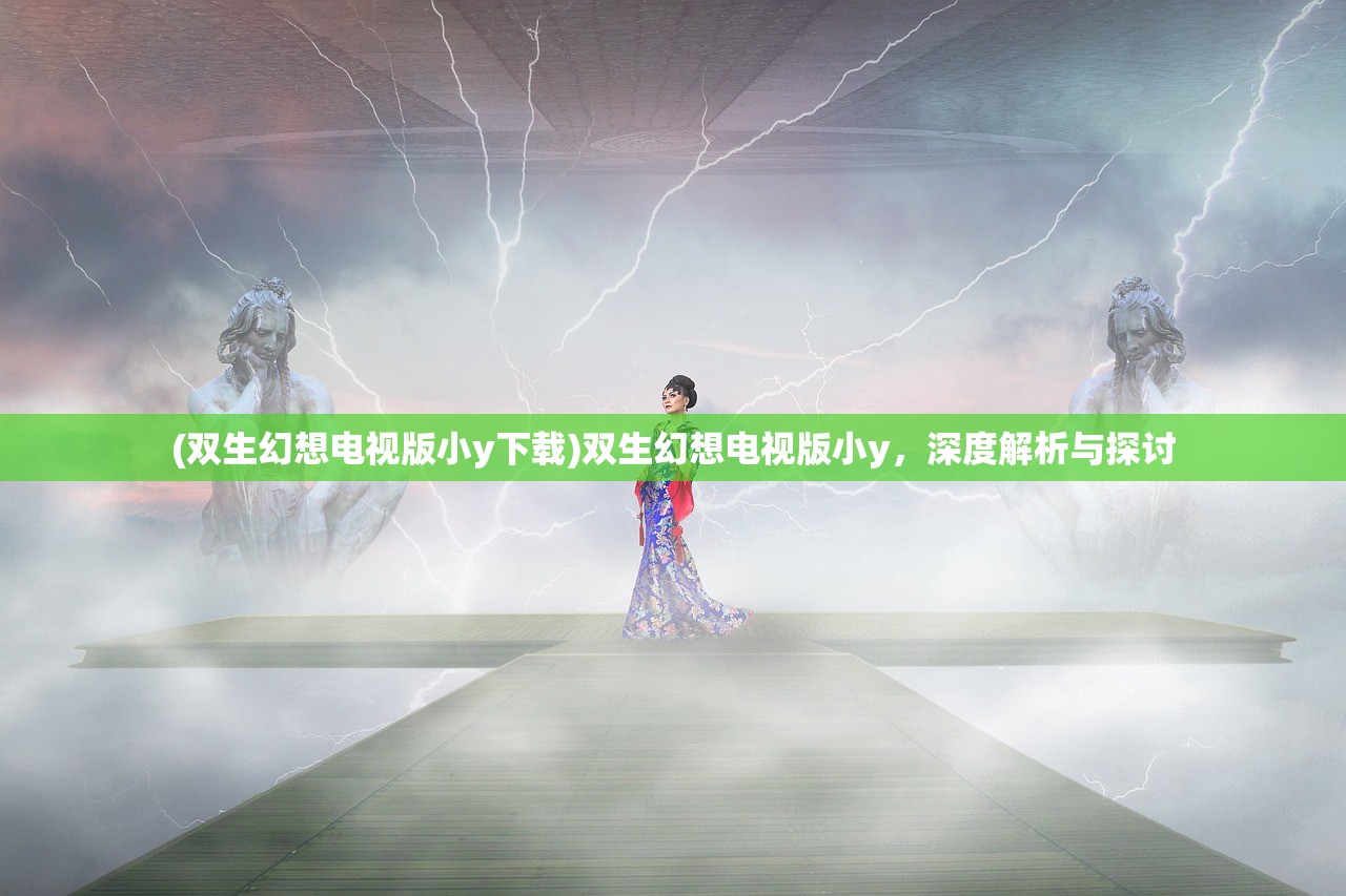 (双生幻想电视版小y下载)双生幻想电视版小y，深度解析与探讨