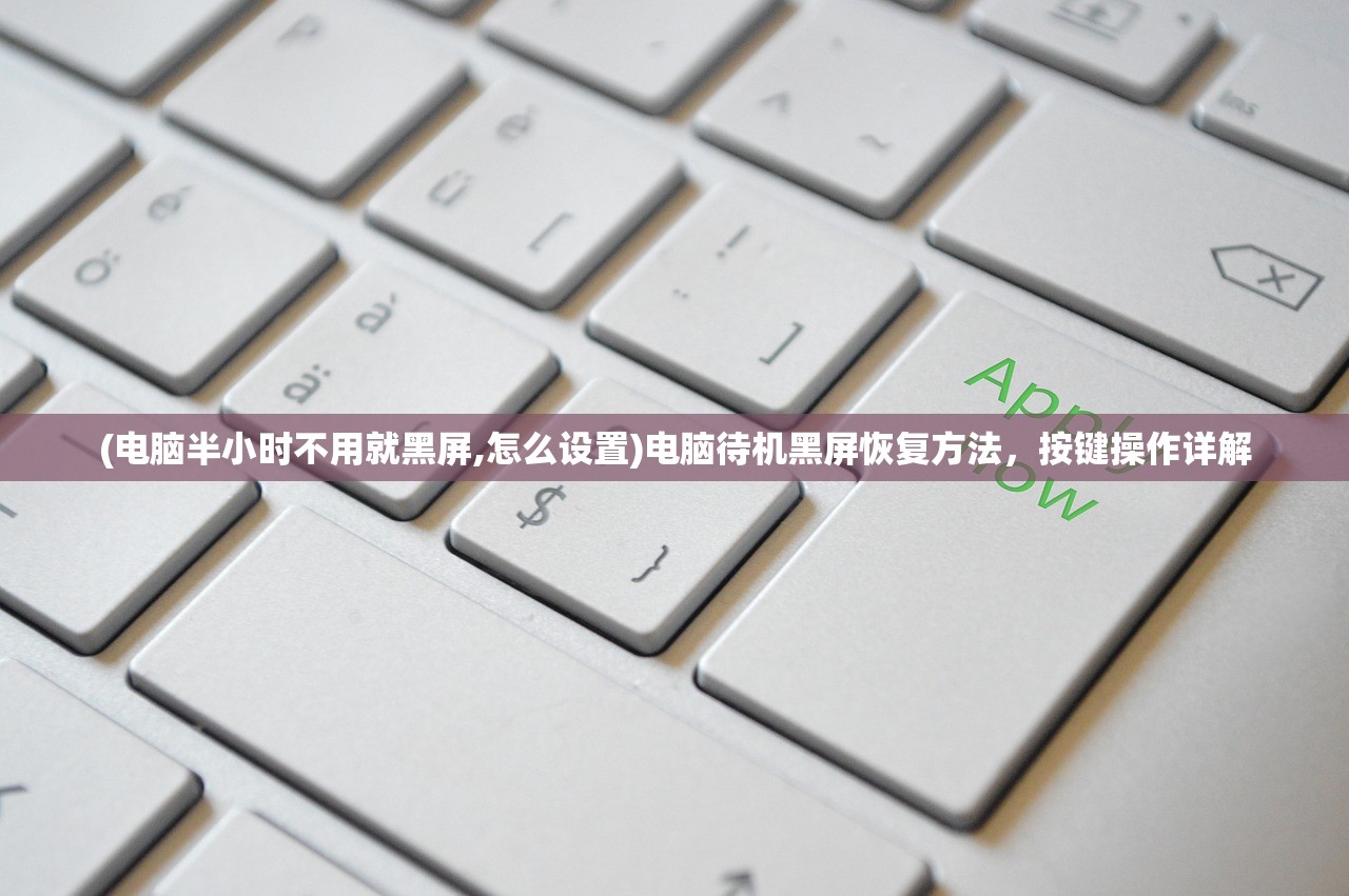 (电脑半小时不用就黑屏,怎么设置)电脑待机黑屏恢复方法，按键操作详解