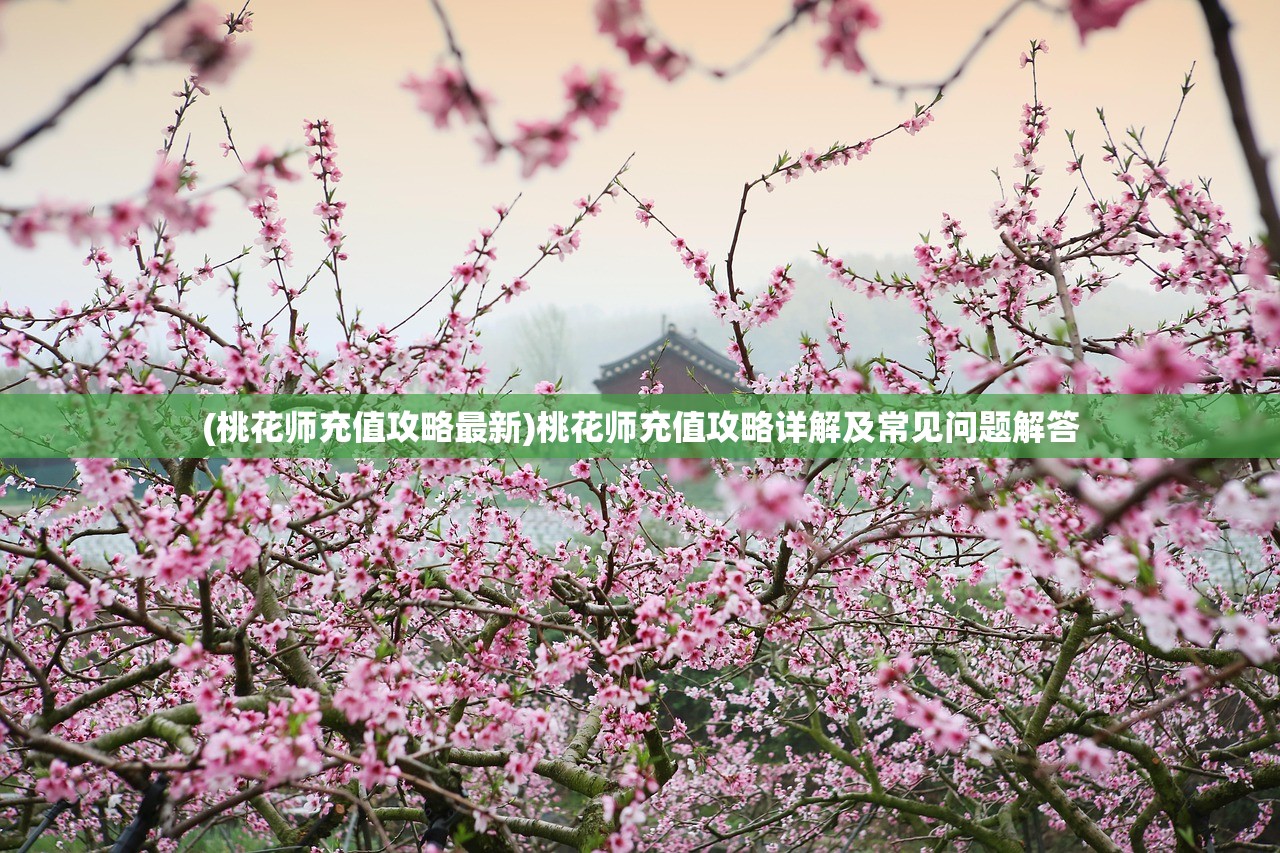 (桃花师充值攻略最新)桃花师充值攻略详解及常见问题解答 (桃花师充值攻略最新)桃花师充值攻略详解及常见问题解答