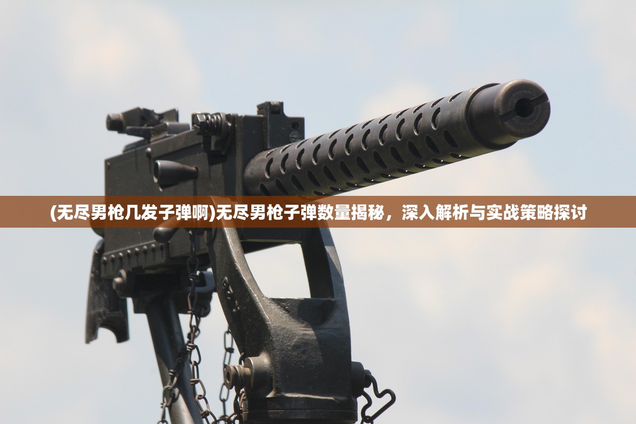 (无尽男枪几发子弹啊)无尽男枪子弹数量揭秘,深入解析与实战策略探讨 (无尽男枪几发子弹啊)无尽男枪子弹数量揭秘,深入解析与实战策略探讨