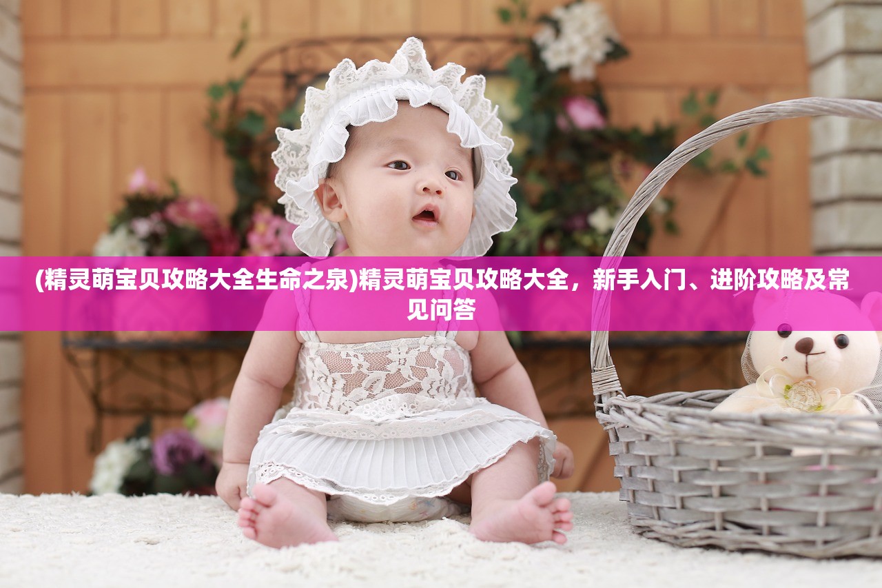 (弹射王S官网)弹射王S,游戏魅力与深度探讨 (弹射王S官网)弹射王S,游戏魅力与深度探讨