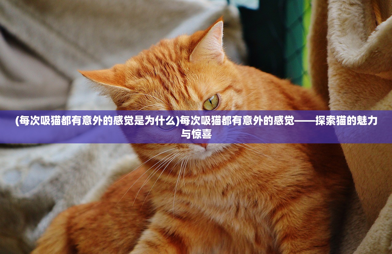 (凡人修仙系统免费阅读)凡人修仙山寨养成系统精校版，深度解析与探索