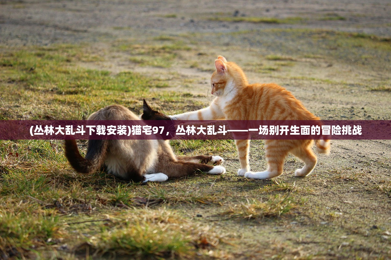 (三国志大战m最强阵容)三国志大战M，深度解析与常见问答指南
