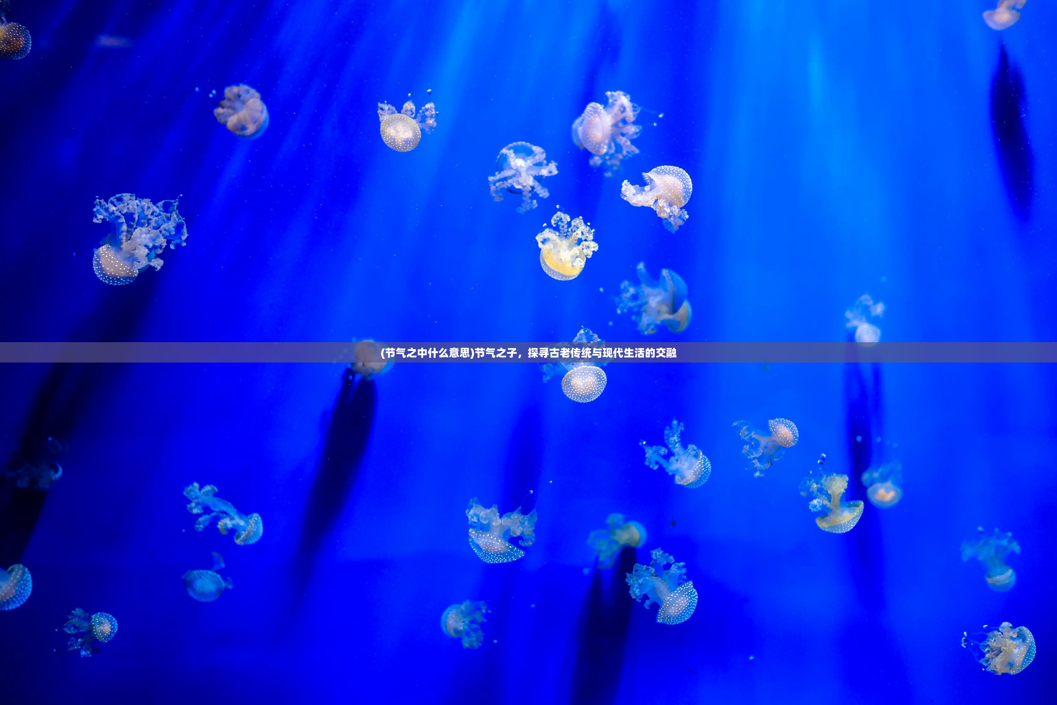 (2022年冰墩墩)冰墩墩蛇年新皮肤回归,传统与创新的融合之旅 (2022年冰墩墩)冰墩墩蛇年新皮肤回归,传统与创新的融合之旅