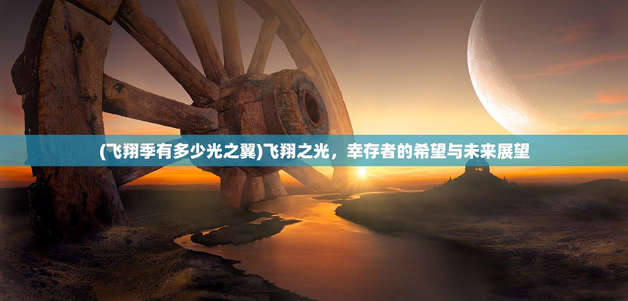 (飞翔季有多少光之翼)飞翔之光，幸存者的希望与未来展望