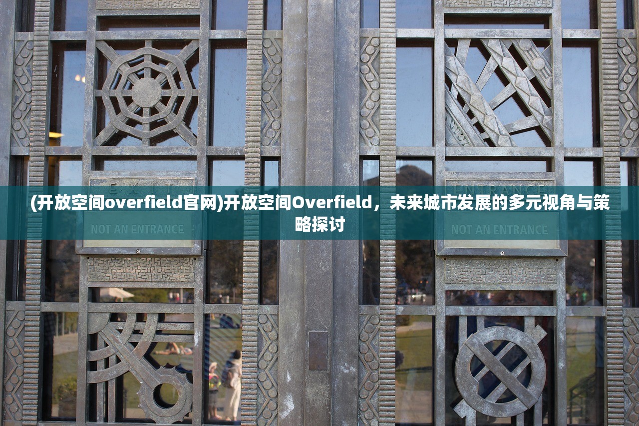 (开放空间overfield官网)开放空间Overfield，未来城市发展的多元视角与策略探讨