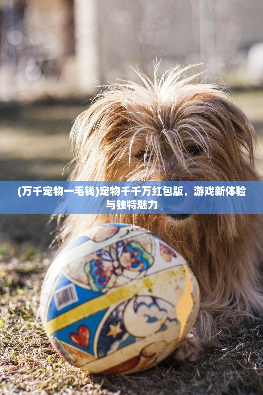 (时空猎人360版本停运了)时空猎人360版本,深度解析与常见问题解答 (时空猎人360版本停运了)时空猎人360版本,深度解析与常见问题解答