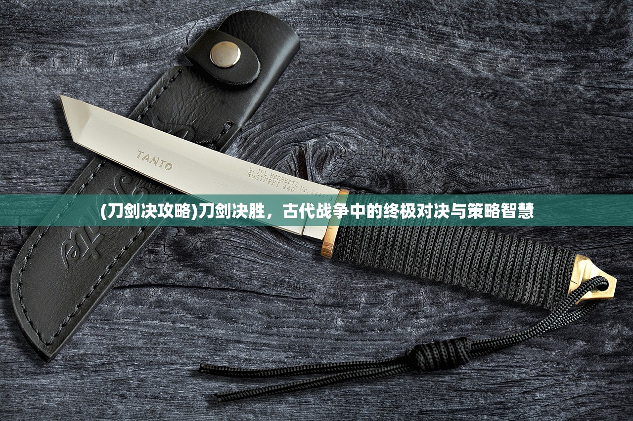(齿轮大师王师傅)齿轮大师试题详解及常见问答解析