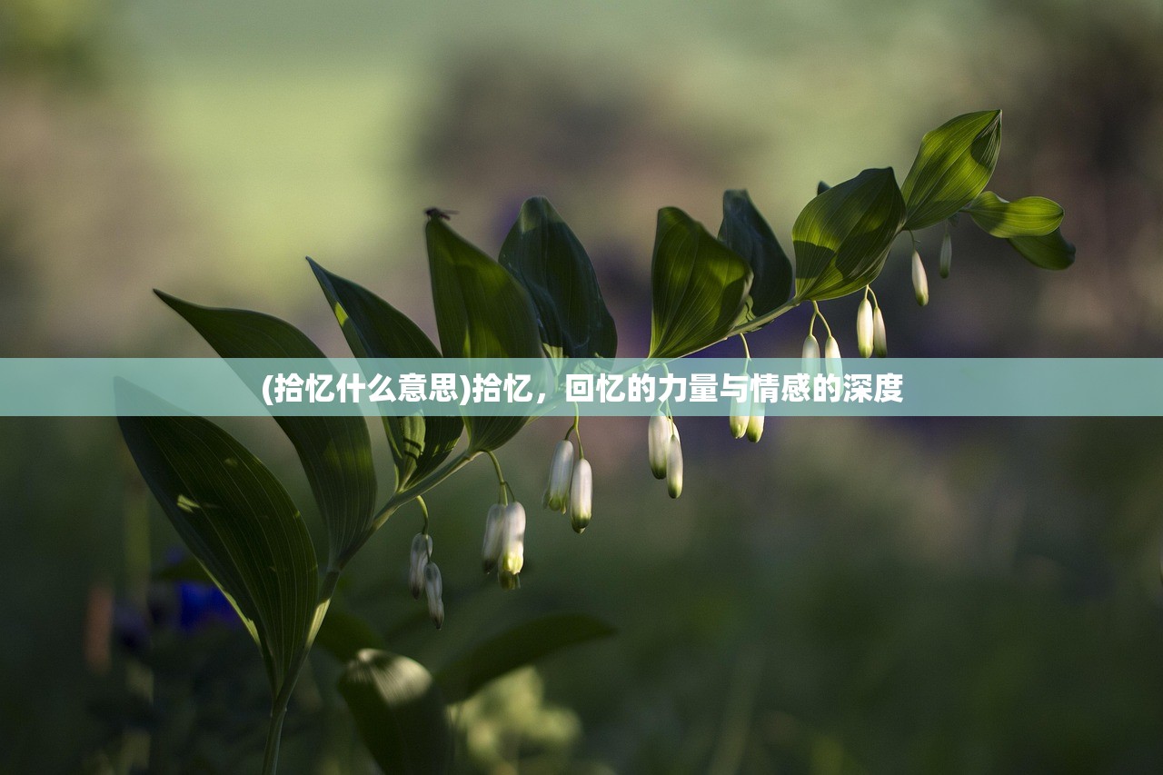 (超神学院手游还能玩吗)超神学院游戏现状，还能继续驰骋游戏世界吗？