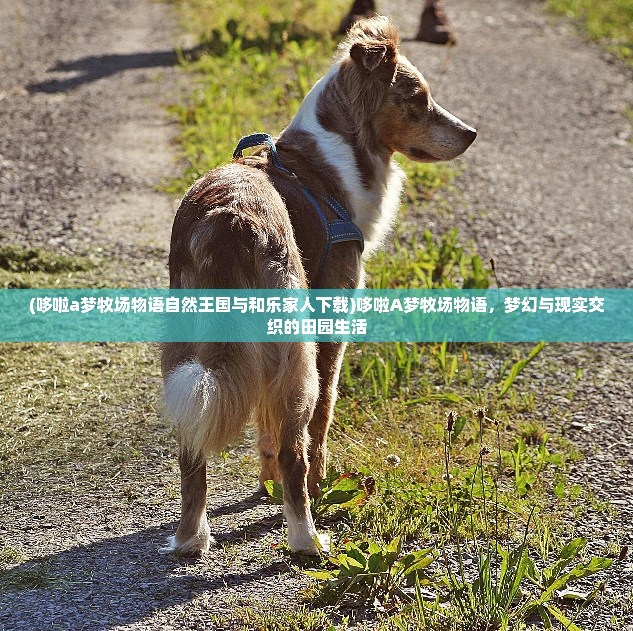 (逃出异次元)逃婚途中意外穿越至异次元，一场时空交织的冒险