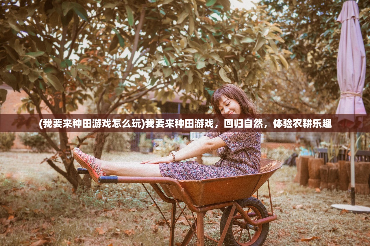 (萌猫物语sr甜点师)点心萌物语最强阵容揭秘与策略分析