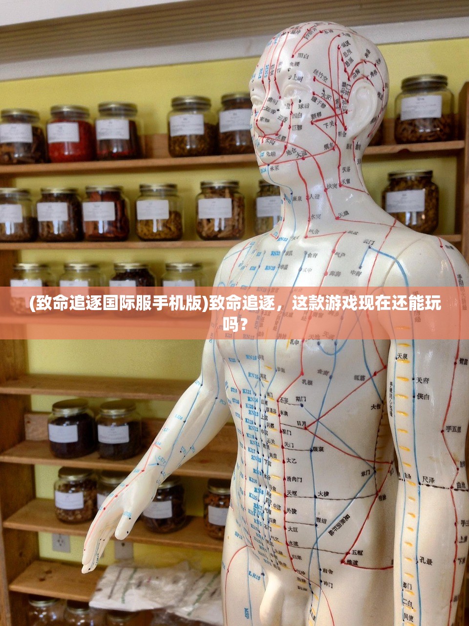 (手游龙城霸业)龙城霸业，战略、挑战与未来展望
