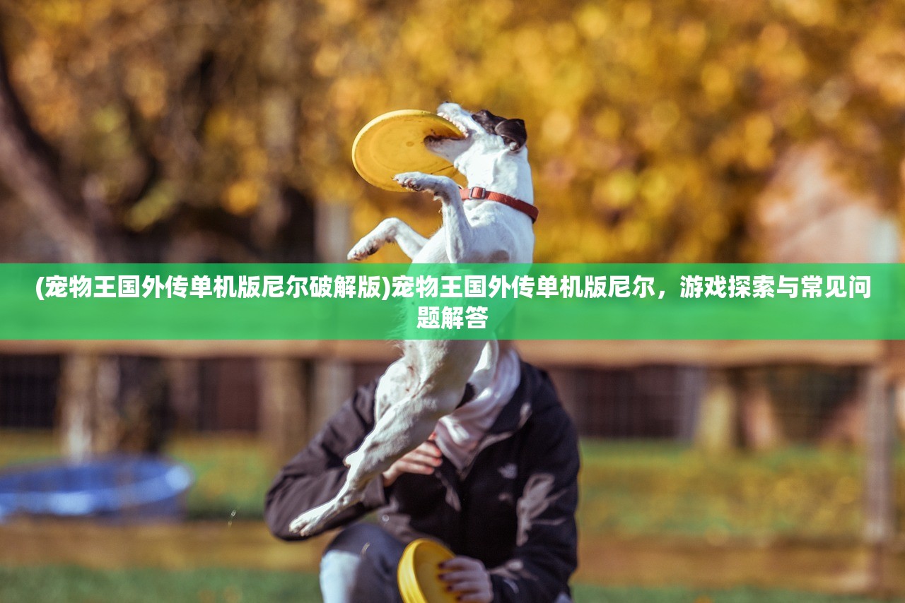 (宠物王国外传单机版尼尔破解版)宠物王国外传单机版尼尔,游戏探索与常见问题解答 (宠物王国外传单机版尼尔破解版)宠物王国外传单机版尼尔,游戏探索与常见问题解答