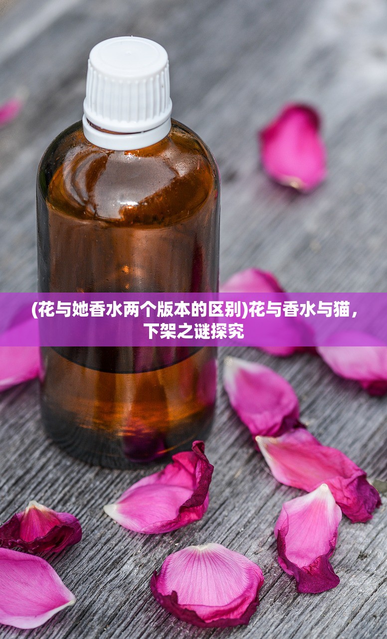 (浮生为卿歌动漫免费观看)浮生为卿歌动漫，古风韵味与现代情感的交织