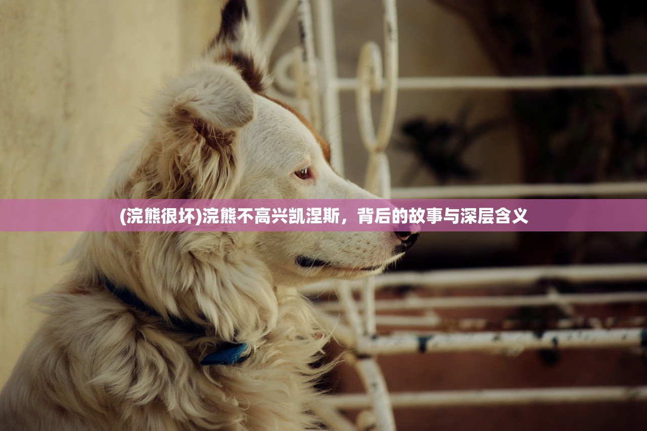 (明朝风云好玩吗)明朝风云为何无法继续游戏？深度解析游戏停运原因