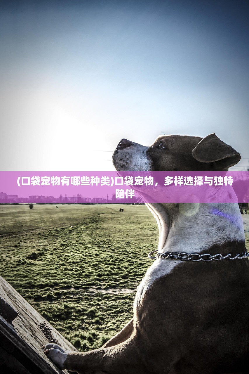 (穿越之姻缘劫攻略尉迟枫攻略大全)穿越之姻缘劫攻略尉迟枫攻略详解