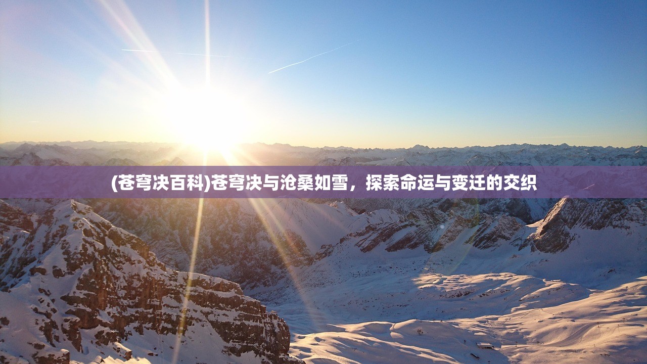 (奇迹少女中文版第五季在线观看)奇迹少女中文版第五季，全新篇章的绽放与期待
